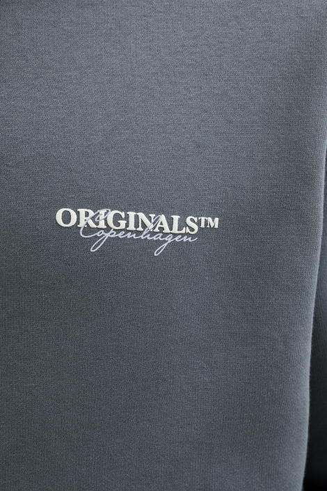 Jack & Jones jorislington back sweat hood sn